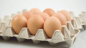 Calidad del huevo vinculada con la dieta de las aves