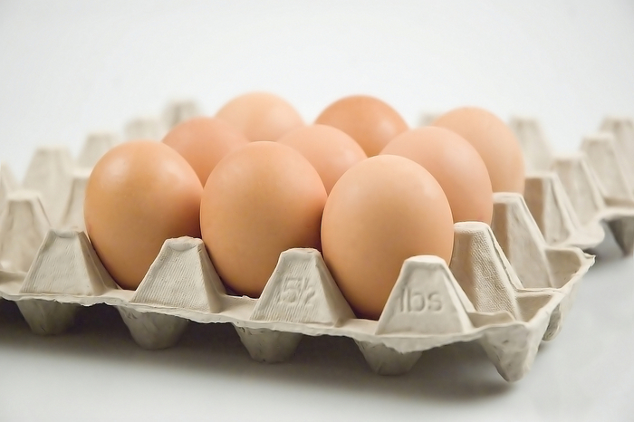 Calidad del huevo vinculada con la dieta de las aves