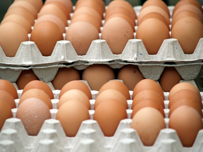 Escasez de huevo en Argentina se superaría en junio