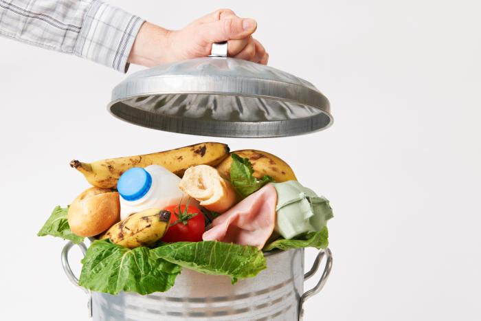 Proponen usar desechos de comida como alimentos balanceados