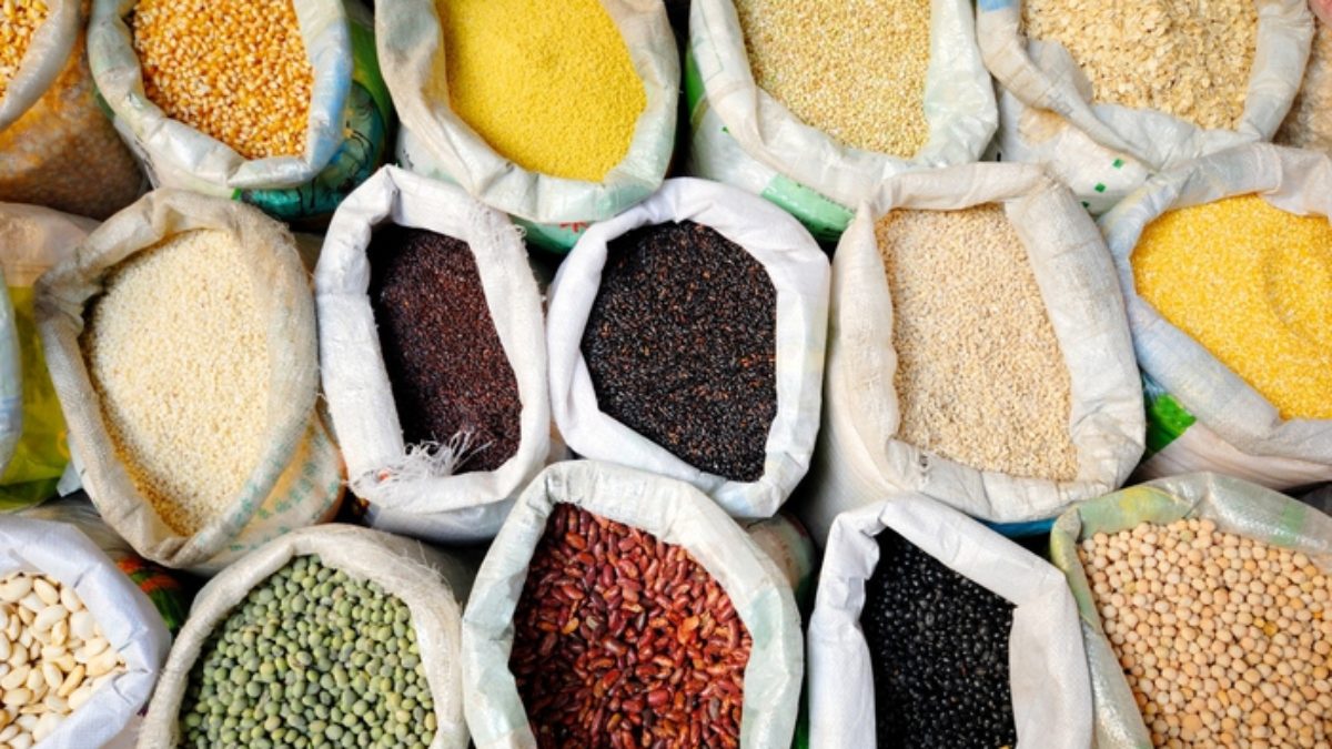 Organic Grains Paraguay