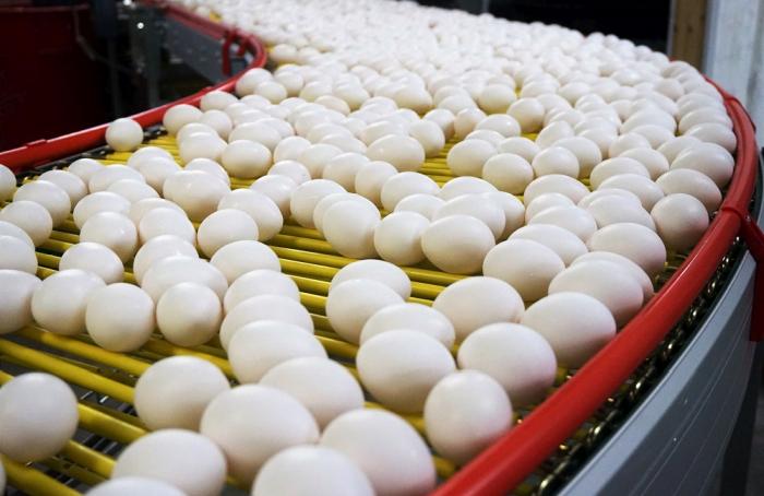 Sushi Itto cambia a huevo de gallinas libres de jaula