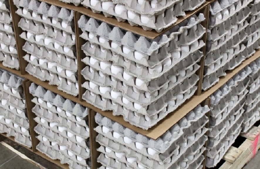 Exportación de huevo brasileño, caída histórica en julio