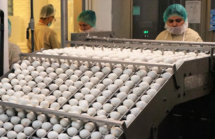 Colombia: mil millones de huevos más cada dos años