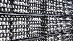 Consumo desigual de pollo y huevos entre los bolivianos