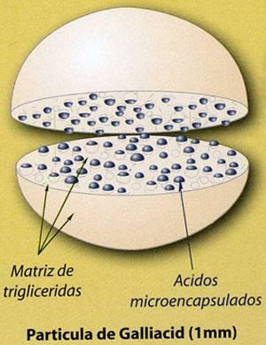 JEFO aditivo a base de ácidos orgánicos