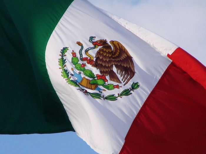 Avicultura mexicana: enorme, pero autocontenida