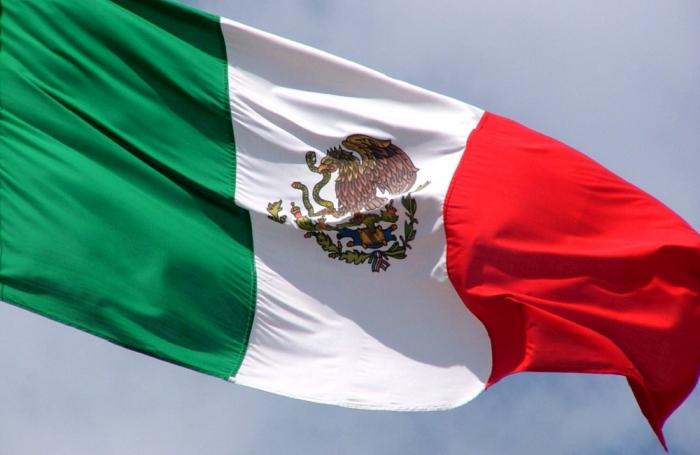 Avicultura mexicana quiere que la saquen de TLC con EUA