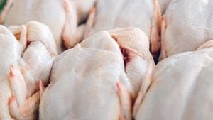 Honduras combate adulteración de la carne de pollo