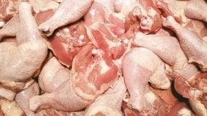 A mayo 2019, Argentina exporta 30% más de carne aviar