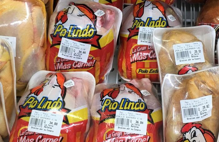 Promueven consumo formal de pollo y huevo en Colombia