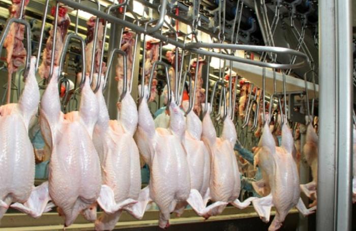 Brasil exporta 330,000 toneladas de pollo en enero