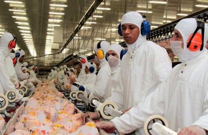 Pollo brasileño, en mira de China por supuesto dumping
