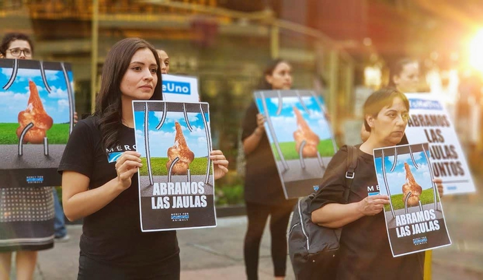 Piden gallinas libres a Walmart de México y Centroamérica