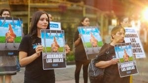 Walmart se cambiará a los huevos sin jaula en Brasil