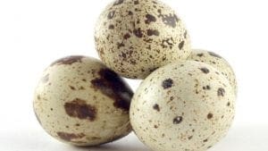 Colombia: huevo de codorniz procesado llegaría al Japón