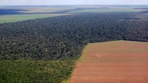 Multan 5 compañías de granos por deforestación en Brasil