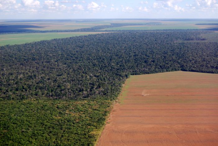 Multan 5 compañías de granos por deforestación en Brasil
