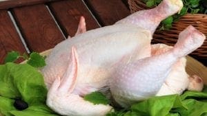 Logran aval científico contra mito del pollo hormonado
