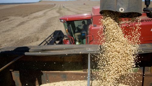 Brasil aprueba semilla de soya resistente a sequía