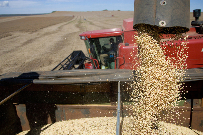 China impondrá aranceles a soya de Estados Unidos