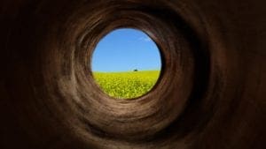 Visión de túnel en la producción avícola