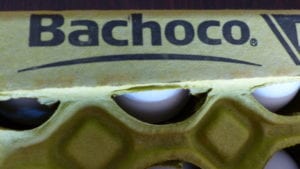 Aumentan ventas de Bachoco en primer semestre de 2018