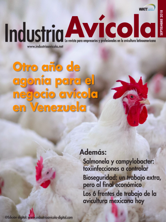 Magazine