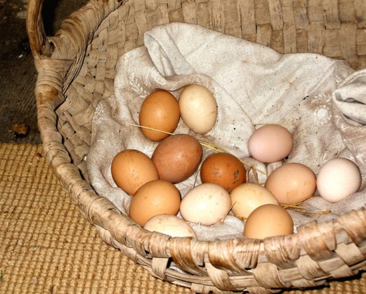 Huevos orgánicos, ¿con más de lo que deberían contener?