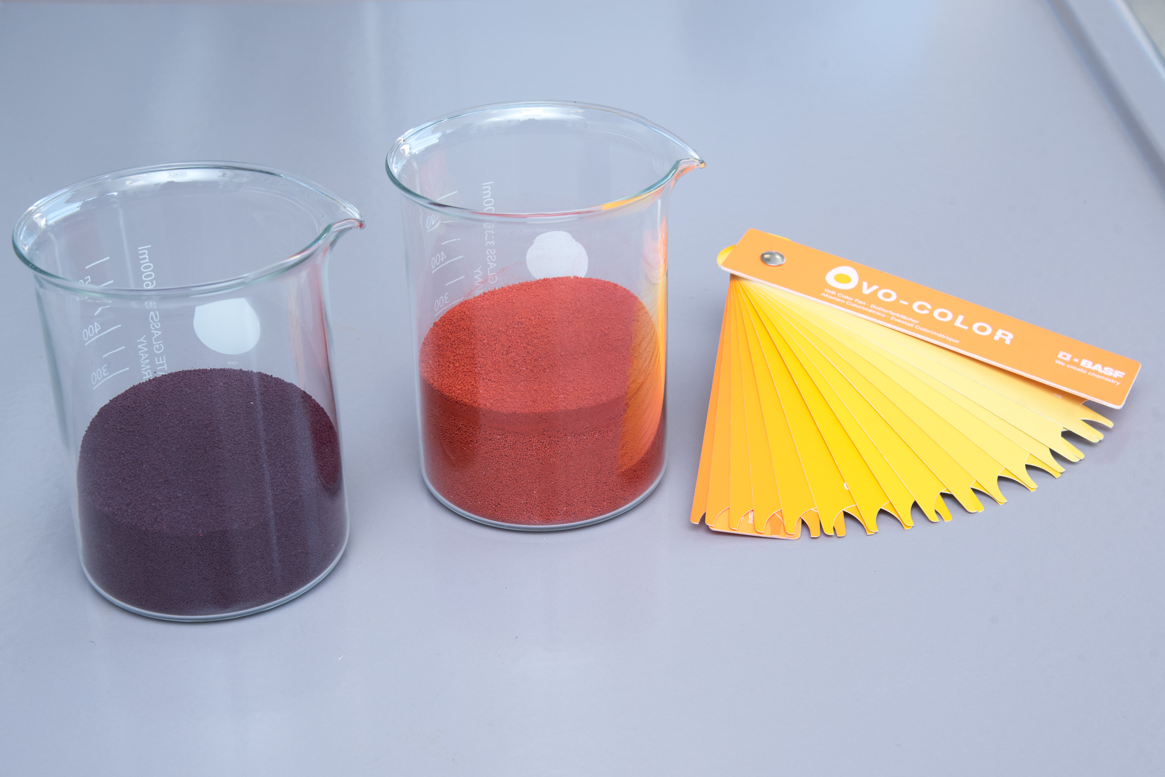 BASF presenta formulaciones de pigmentos sin etoxiquina Industria Avícola