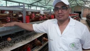 Granja San Pablo, escuela de la avicultura colombiana