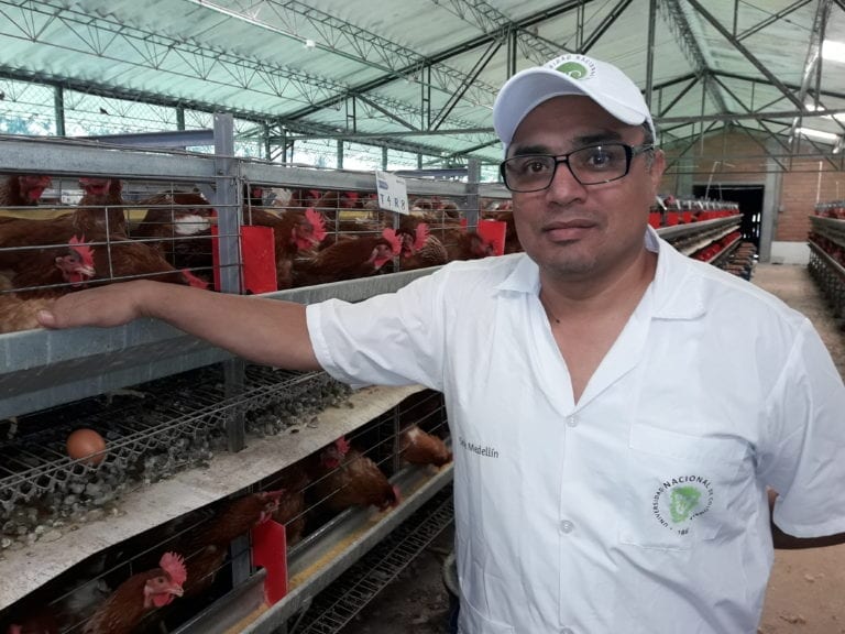 Granja San Pablo, escuela de la avicultura colombiana