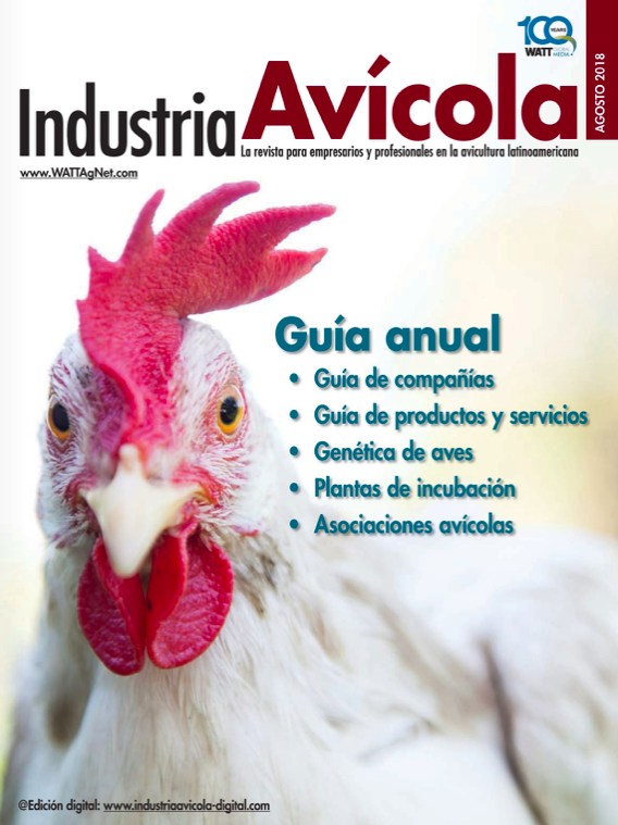 Magazine