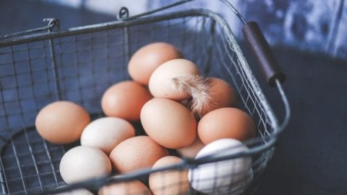 Colombina anuncia compromiso con huevos libres de jaula