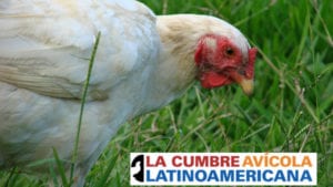 Abren inscripciones para la Cumbre Avícola Latinoamericana