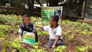 ‘Nutriendo el futuro’ rinde frutos en Centroamérica
