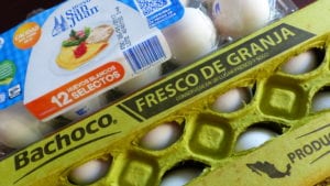 Huevo contribuye a inflación en septiembre en México