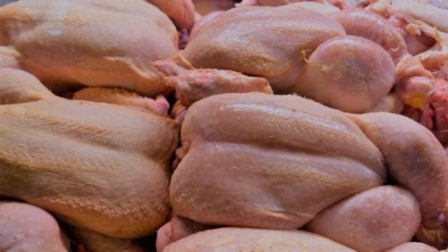 Pollo paraguayo exportado: más volumen, menor precio