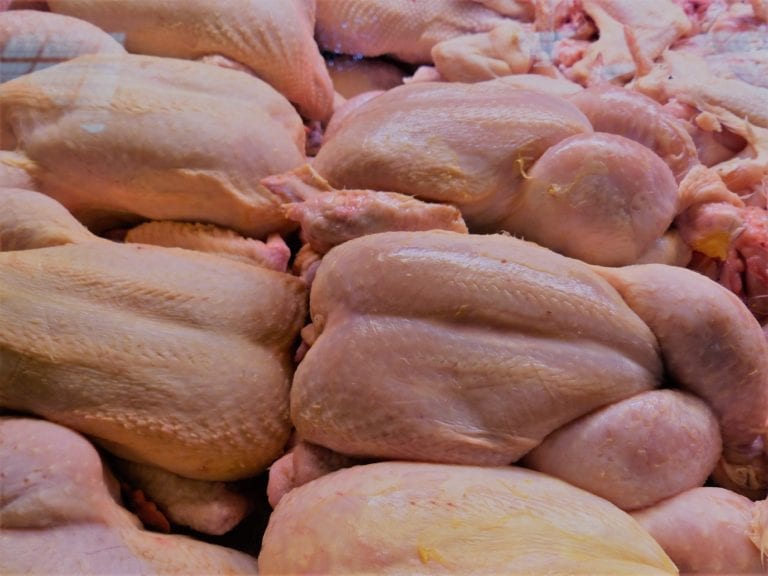 Pollo paraguayo exportado: más volumen, menor precio