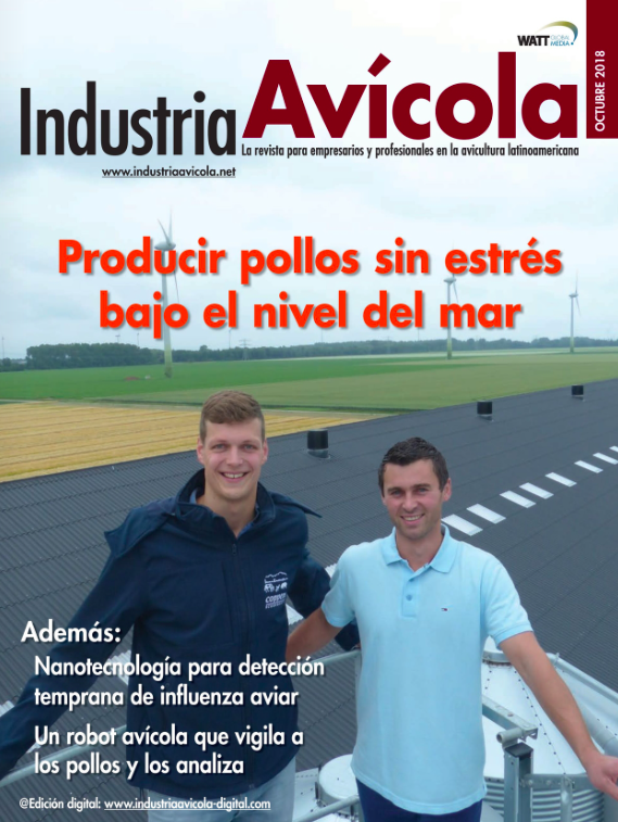 Magazine