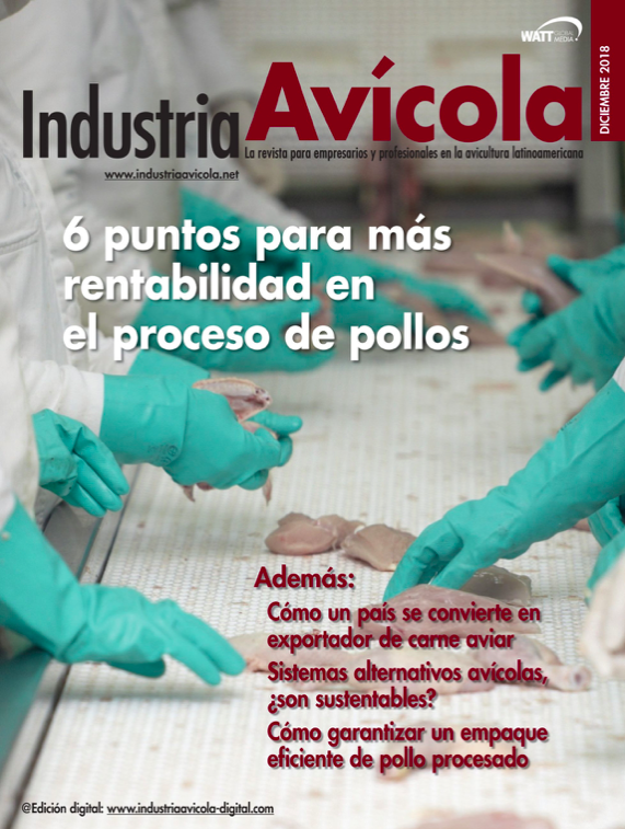 Magazine