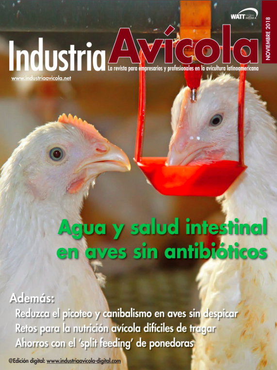 Magazine