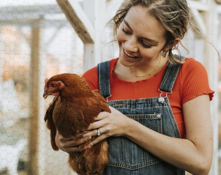 El supuesto uso de hormonas en pollo es también sexista