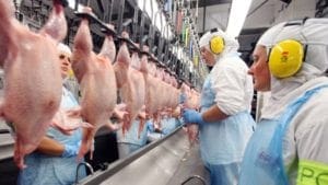 Arabia veta 5 plantas de beneficio de pollo brasileño