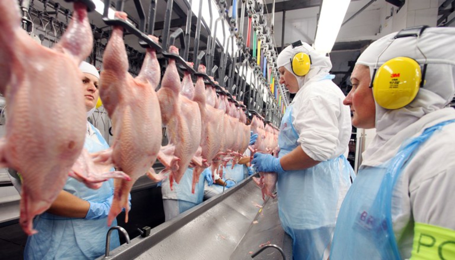 Arabia veta 5 plantas de beneficio de pollo brasileño