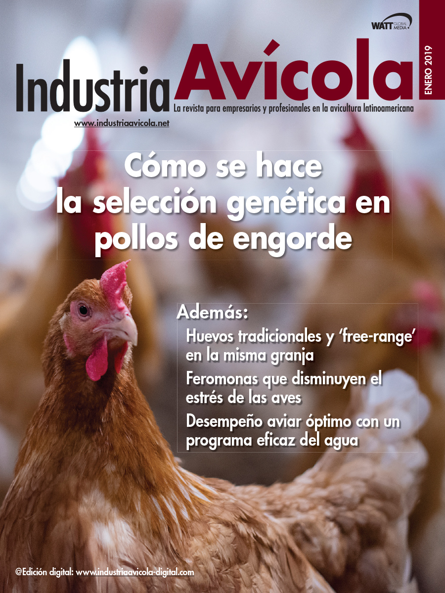 Magazine