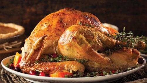 Ecuador producirá este año 14,600 t de carne pavo