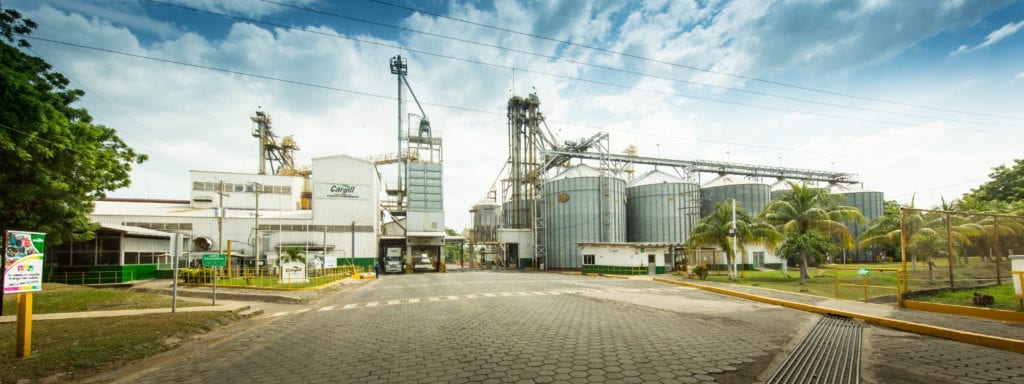 Cargill, a un aleteo de liderar sector pollo en Colombia