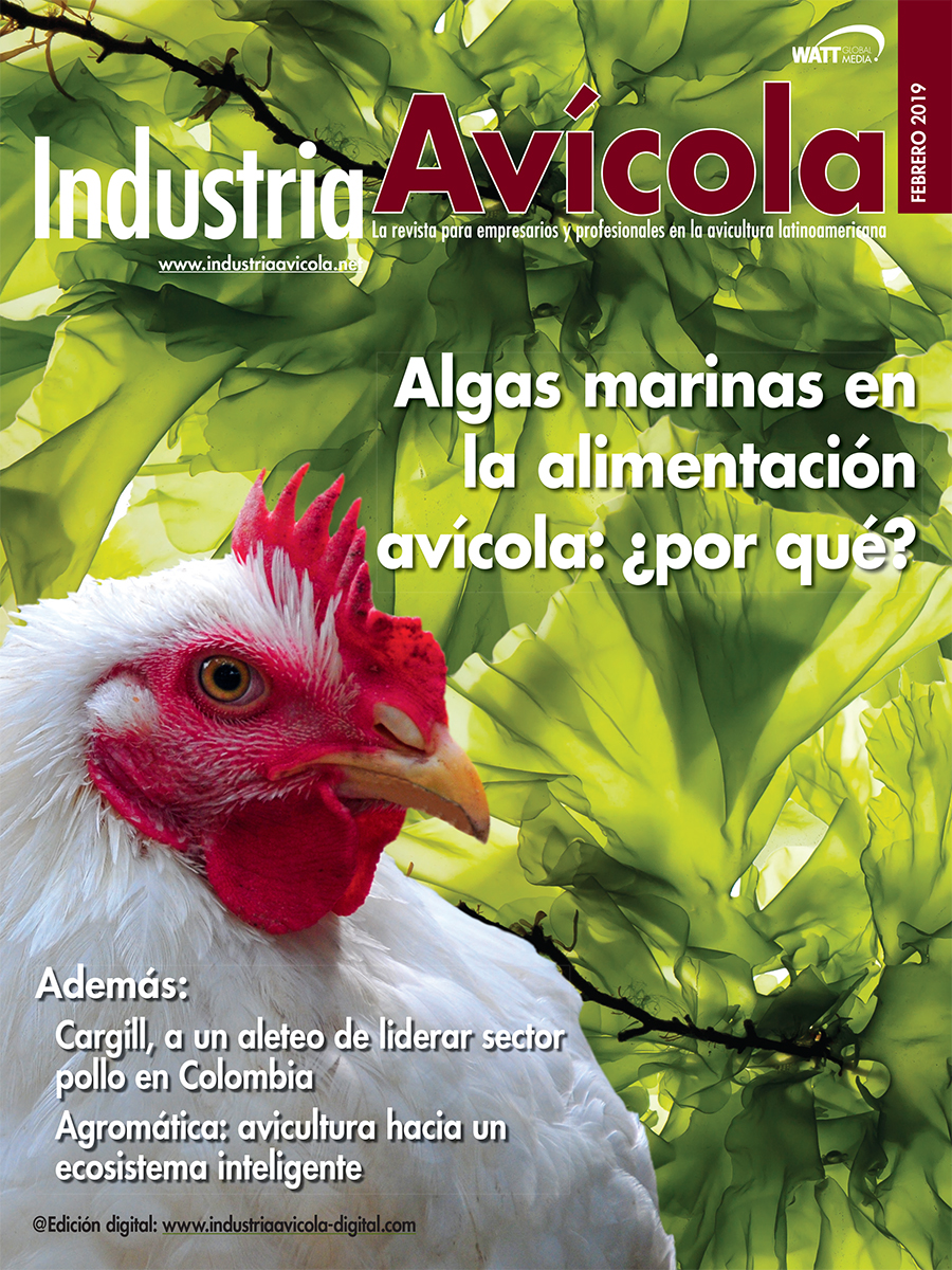 Magazine