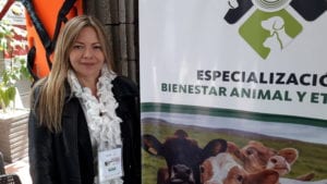 Bienestar animal en la formación de veterinarios latinoamericanos